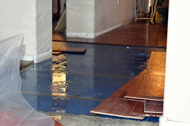 Professional Water Damage Restoration technician working in Ellsworth, ME